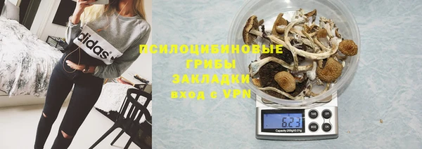 2c-b Горняк