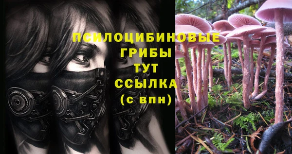 2c-b Горняк