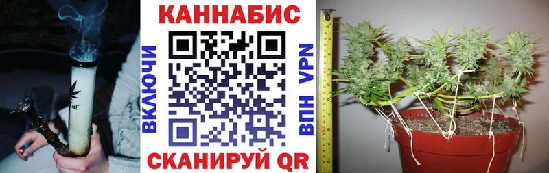 наркошоп  Долинск  Шишки марихуана индика 